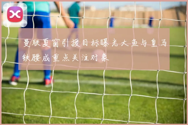 曼联夏窗引援目标曝光大鱼与皇马铁腰成重点关注对象